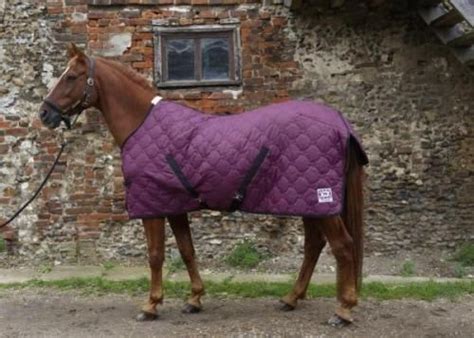 burberry lavenham|lavenham quilted horse rug.